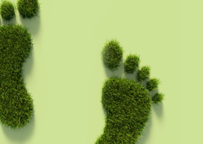 Global mobility: Ideas of policy changes to reduce carbon footprint