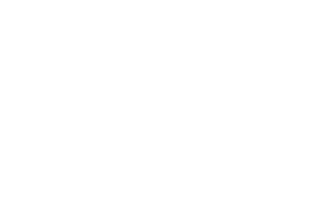 Think Global People logo (left justified) wht