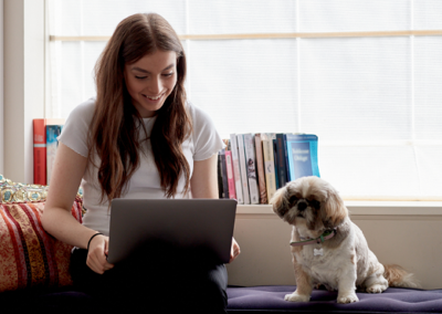 Harrow School Online