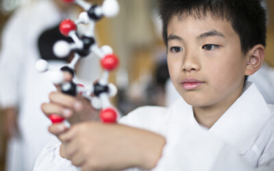Japanese student holding a molecular model