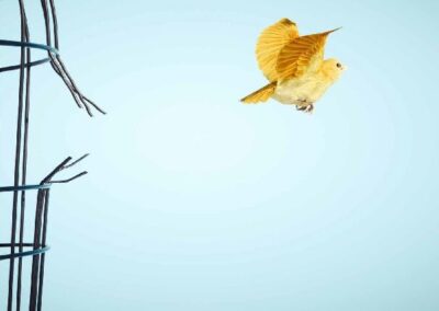 What your staff want you to know about remote working