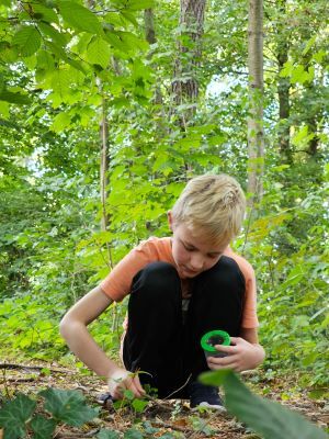 BSB sustainability with child in woodland glade