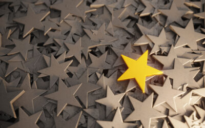 Assessing assignee performance in a global context: Return on investment or expectation management? Part 2