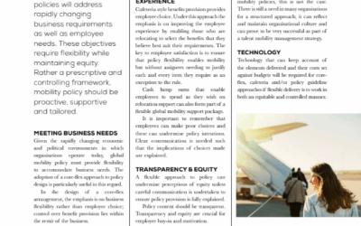 Flexibility in Policy Design