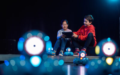 Overprotection in the real world,  underprotection in the digital world