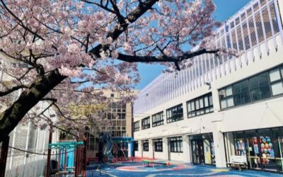 RESIZED SchoolSakura2022