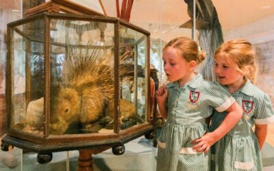 From Woolly Mammoths to Medieval Manuscripts: How Stonyhurst Pupils Are Learning History First-Hand