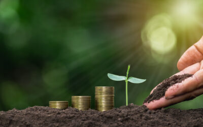 Financial wellbeing and resilience – a tool for personal and professional productivity