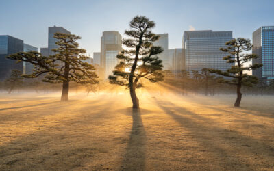 Banks retreat, private credit advances: Asia Pacific’s quiet lending revolution