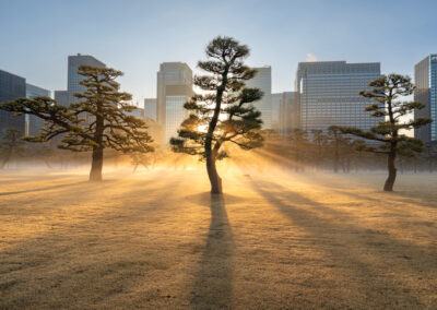 Banks retreat, private credit advances: Asia Pacific’s quiet lending revolution